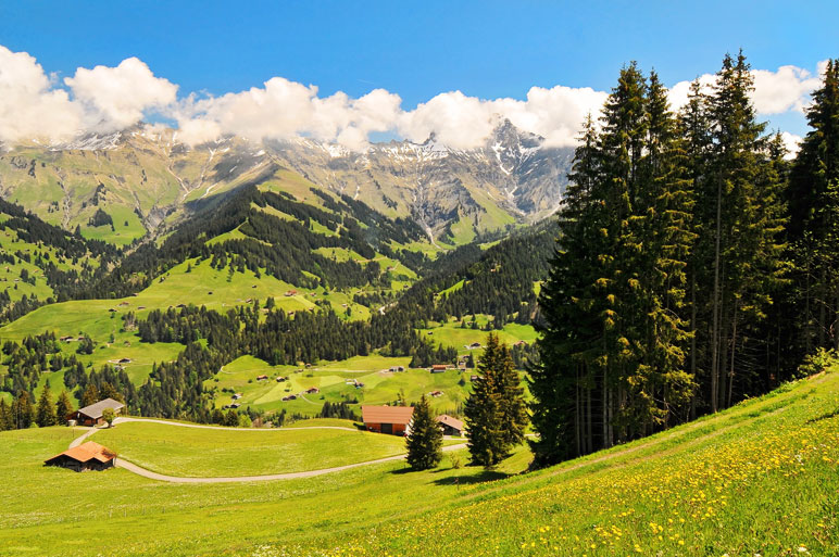 Italy & Swiss