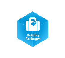 Passport-Assistance-icons
